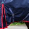 R444 Rastrick V2 250g Combo Turnout Rug